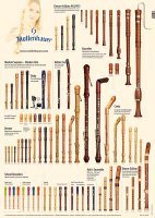 Poster "Recorder-Selection" - englisch